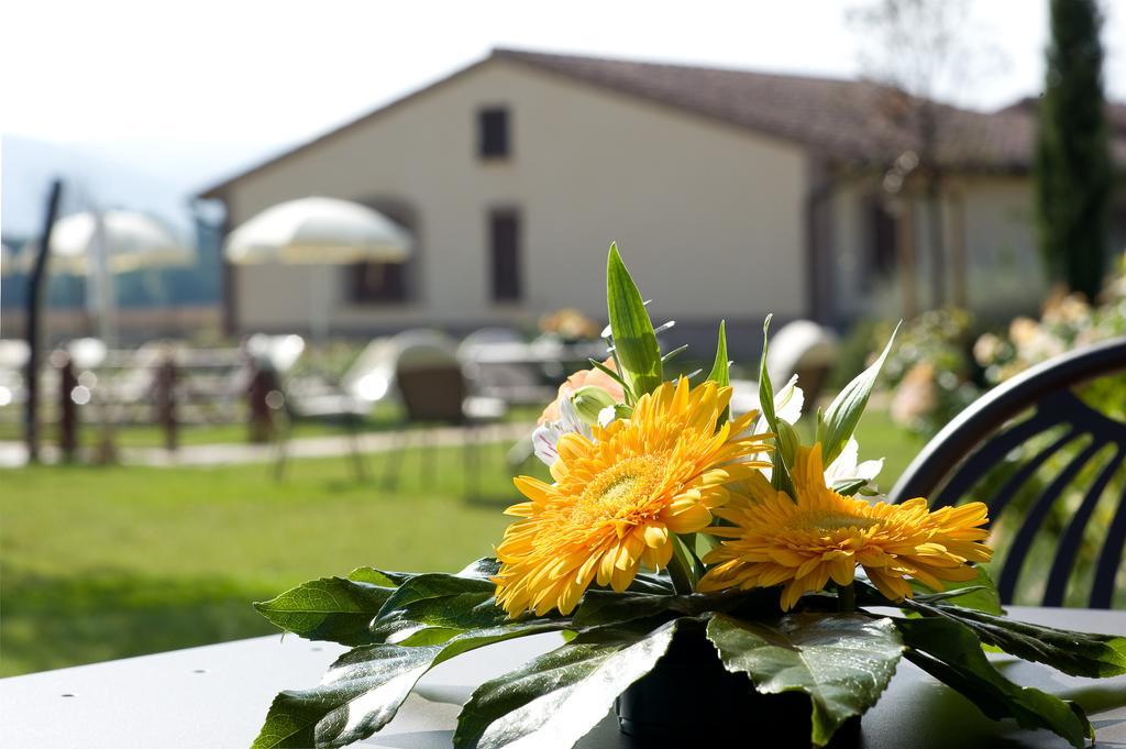 Agriturismo Le Rondini Di Francesco Di Assisi Cannara Exterior foto